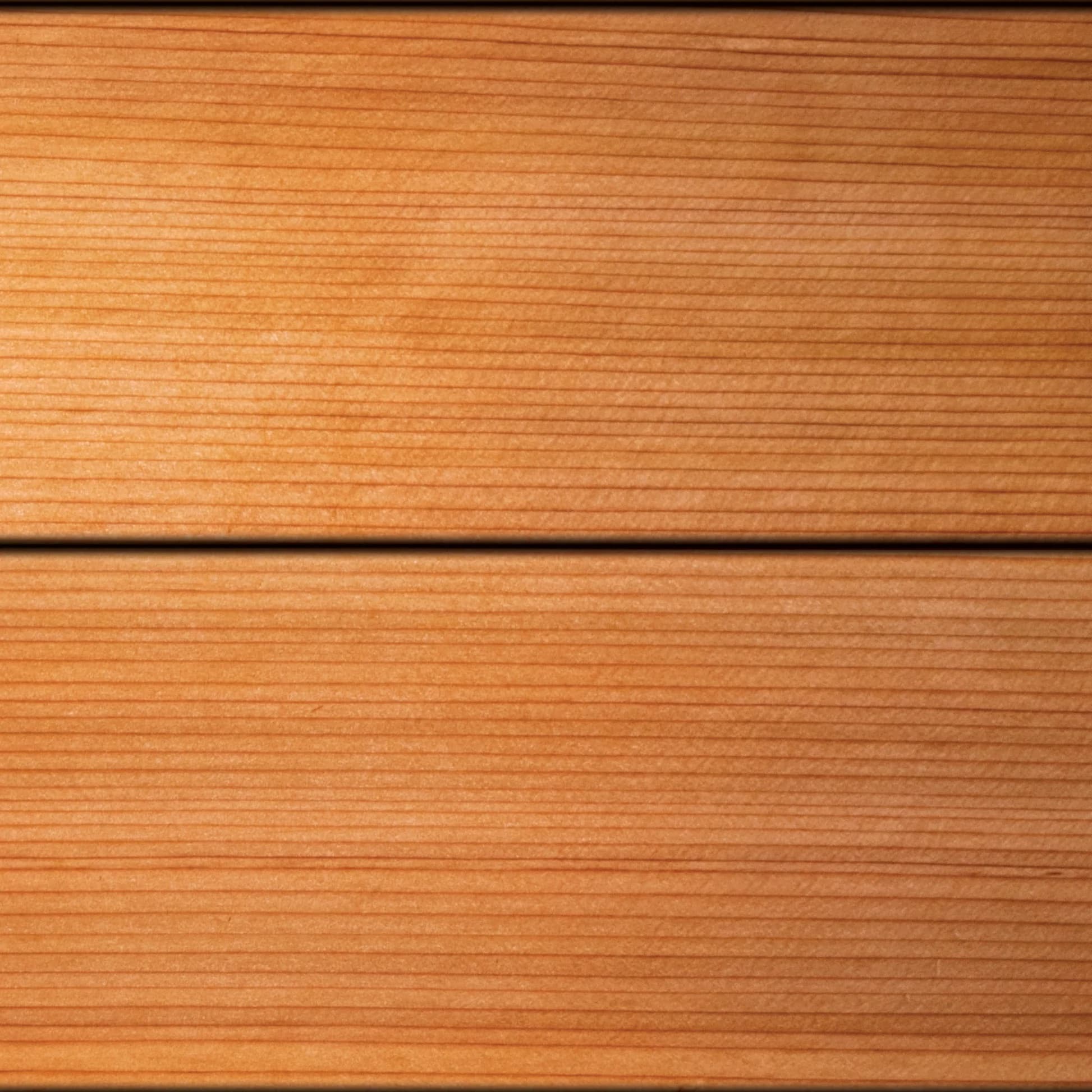 Cedar swatch