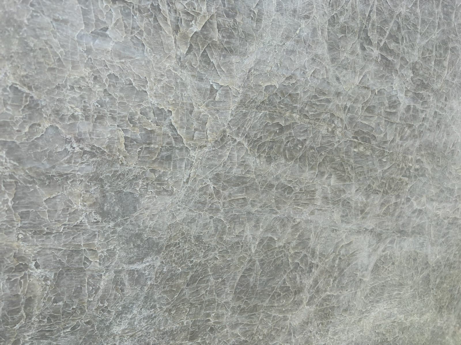 Taj Mahal Quartzite swatch